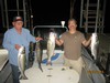 (08/29/2014) - Nice Striped Bass